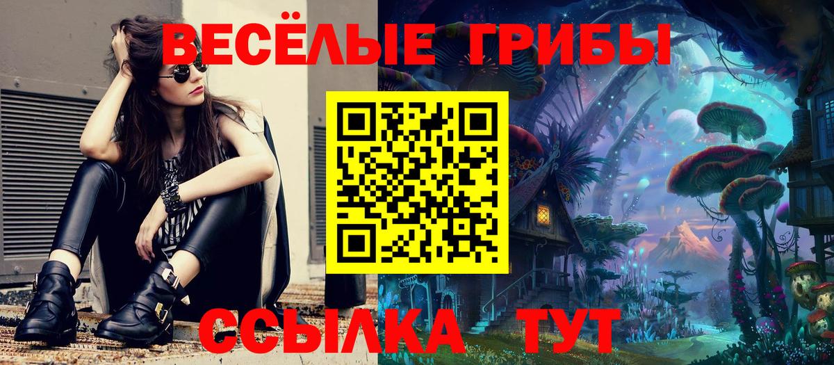 Галлюциногенные грибы мухоморы Улан-Удэ
