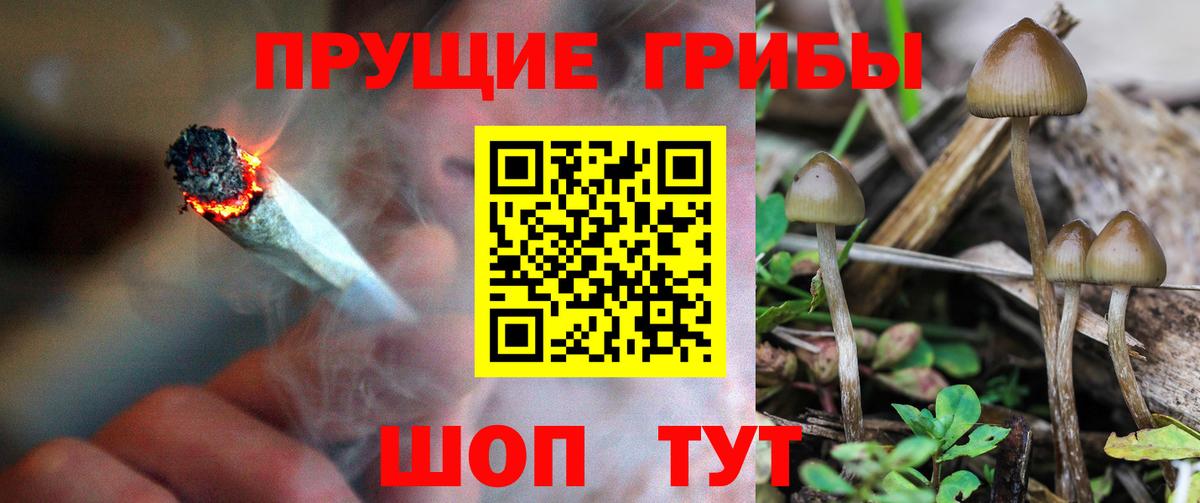 Улан-Удэ  Галлюциногенные грибы MAGIC MUSHROOMS  Вход с VPN  Галлюциногенные грибы мицелий 